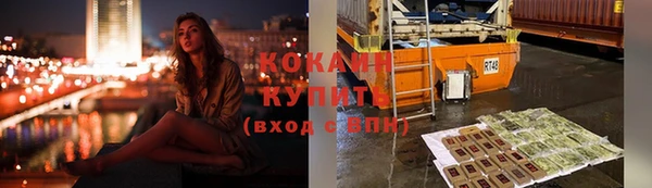 молекула духа Кулебаки