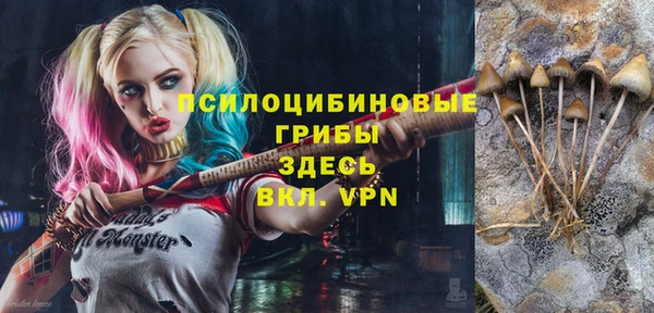 молекула духа Кулебаки