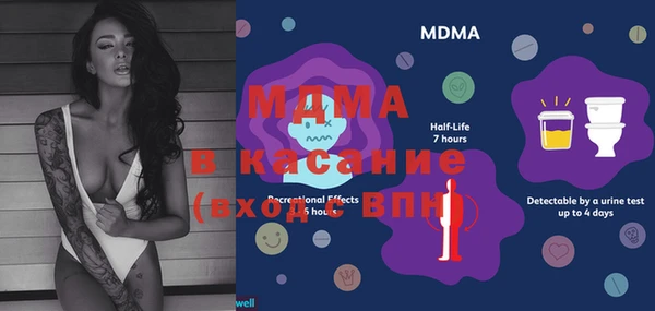молекула духа Кулебаки