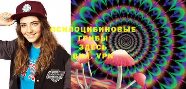 молекула духа Кулебаки