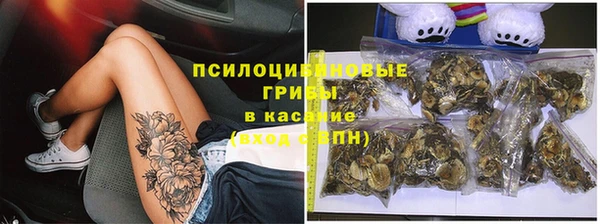 молекула духа Кулебаки