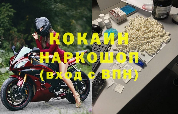 молекула духа Кулебаки