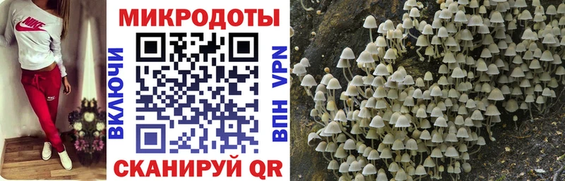 Псилоцибиновые грибы прущие грибы  Керчь 