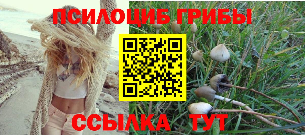 Псилоцибиновые грибы мицелий  Галлюциногенные грибы Psilocybine cubensis  Керчь  Вход с VPN 