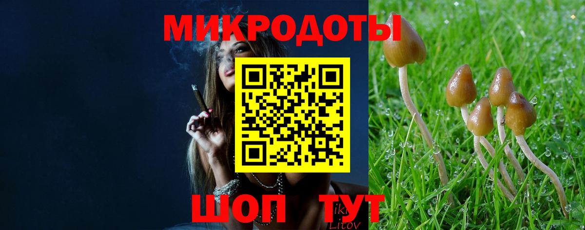 Псилоцибиновые грибы Psilocybine cubensis Керчь